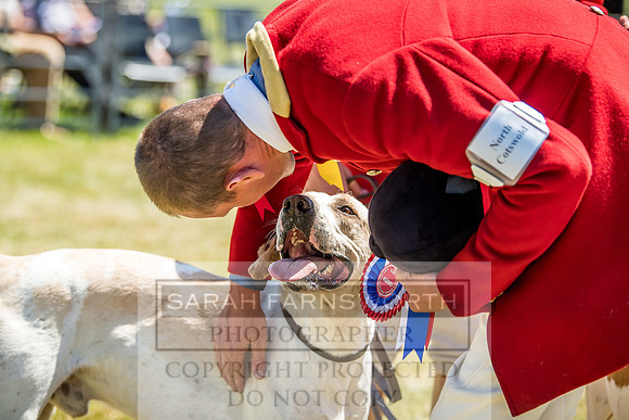 Builth Hound Show 2018-95
