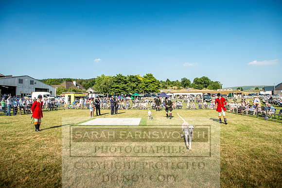 Builth Hound Show 2018-176