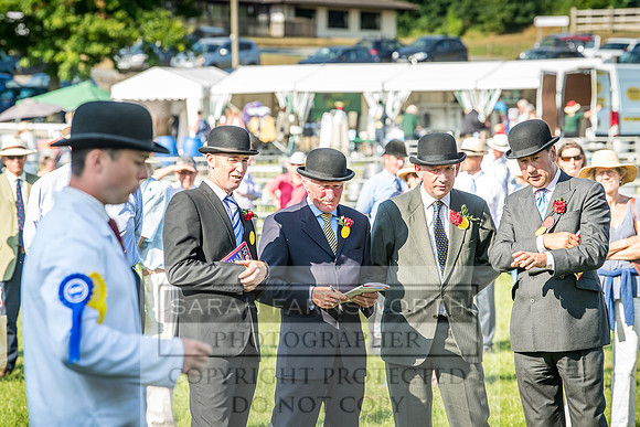 Builth Hound Show 2018-190