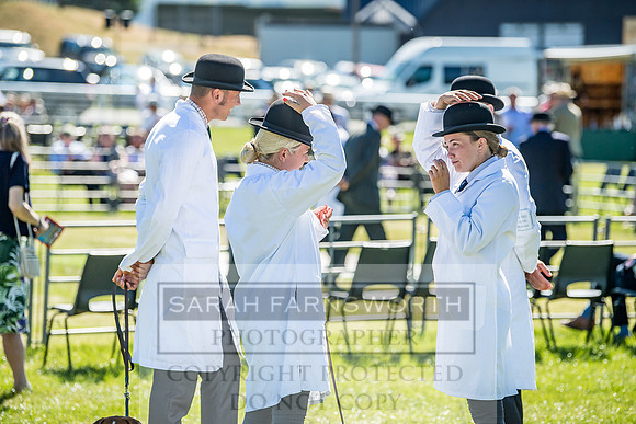Builth Hound Show 2018-11