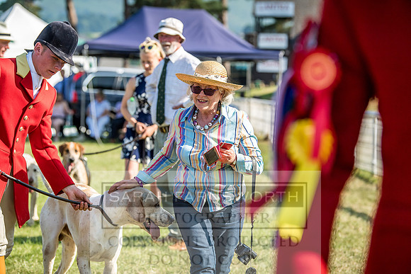 Builth Hound Show 2018-179