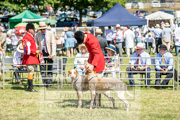 Builth Hound Show 2018-118