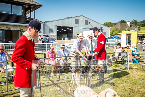 Builth Hound Show 2018-153
