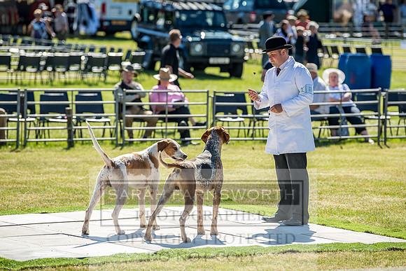 Builth Hound Show 2018-4