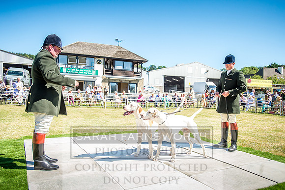 Builth Hound Show 2018-13