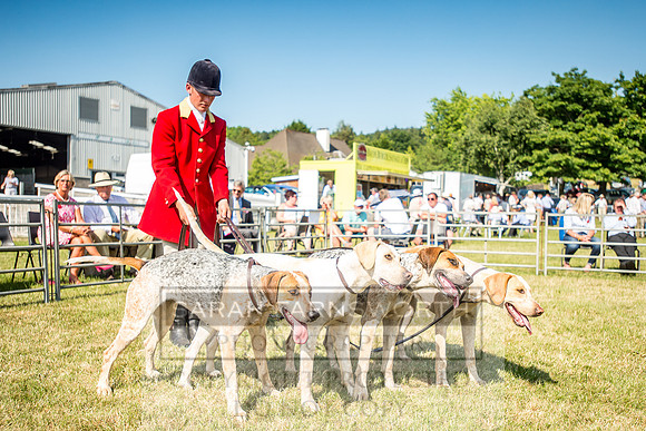 Builth Hound Show 2018-155