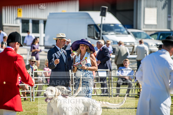 Builth Hound Show 2018-6