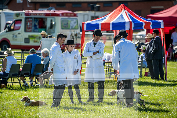 Builth Hound Show 2018-3