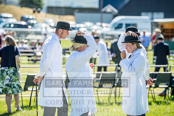 Builth Hound Show 2018-12