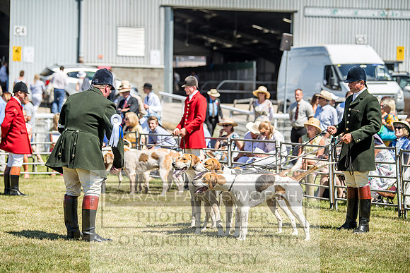 Builth Hound Show 2018-68