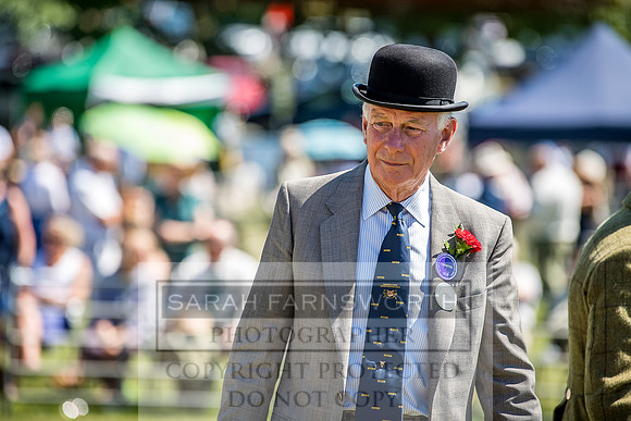 Builth Hound Show 2018-70