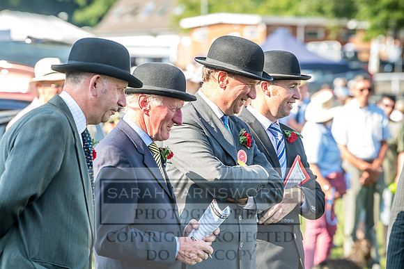 Builth Hound Show 2018-192