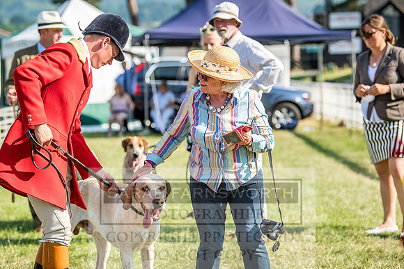 Builth Hound Show 2018-178