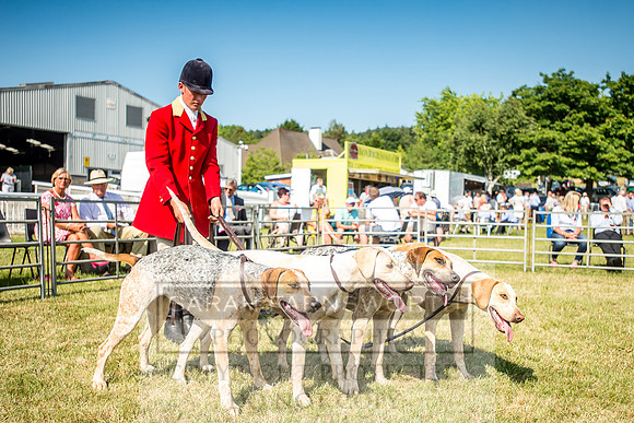 Builth Hound Show 2018-156