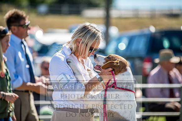 Builth Hound Show 2018-23