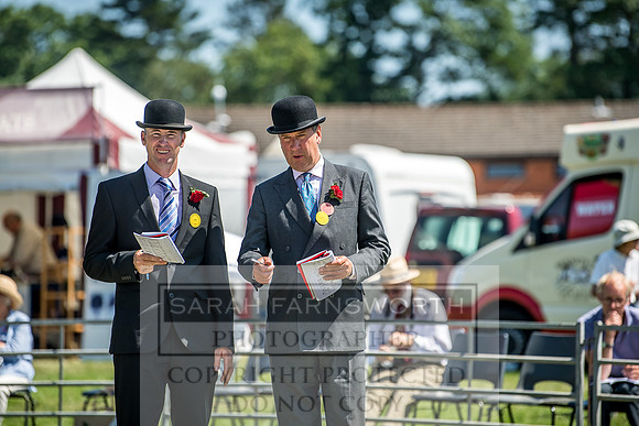 Builth Hound Show 2018-116