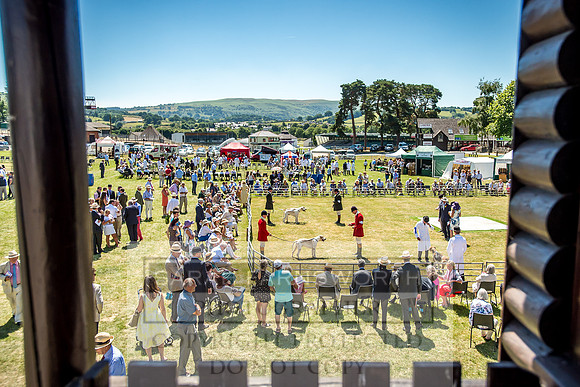 Builth Hound Show 2018-90