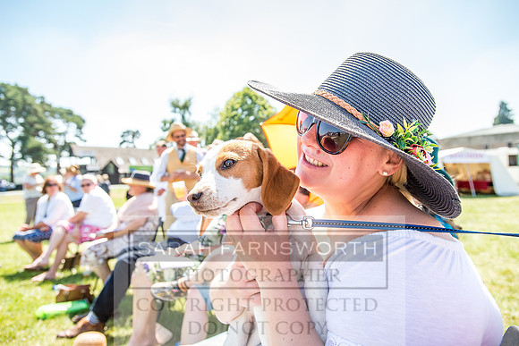 Builth Hound Show 2018-117