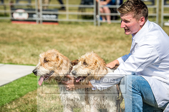 Builth Hound Show 2018-134