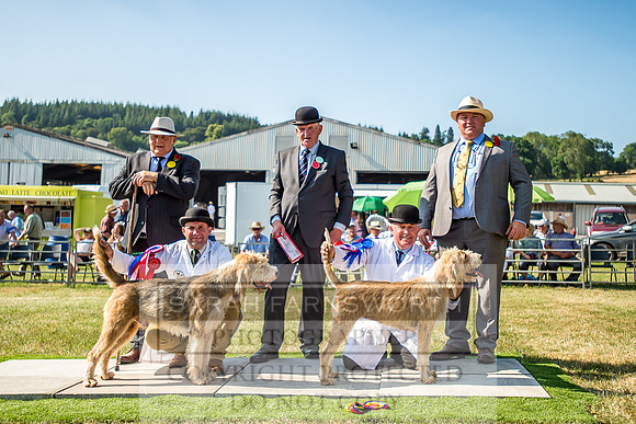Builth Hound Show 2018-166