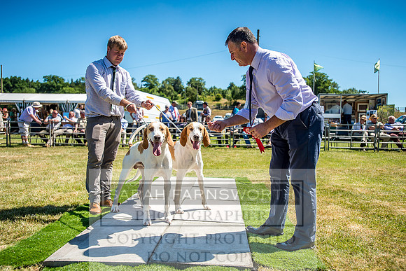 Builth Hound Show 2018-57