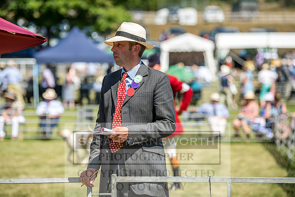 Builth Hound Show 2018-120