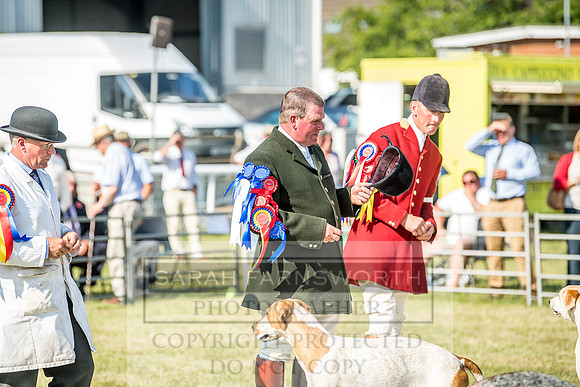 Builth Hound Show 2018-175