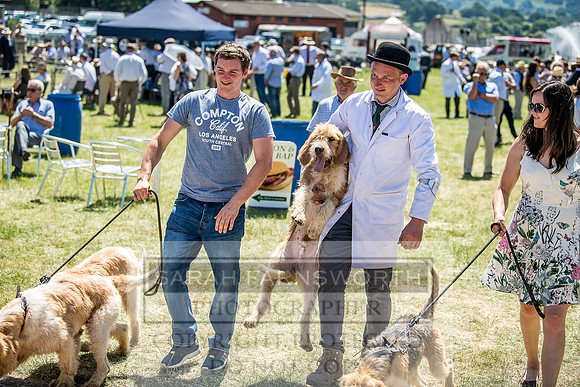 Builth Hound Show 2018-91