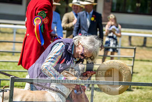 Builth Hound Show 2018-104