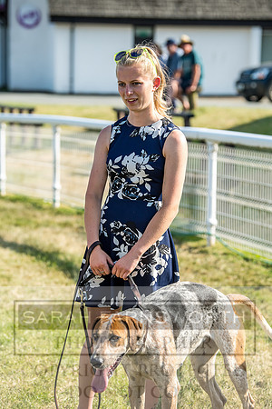 Builth Hound Show 2018-181