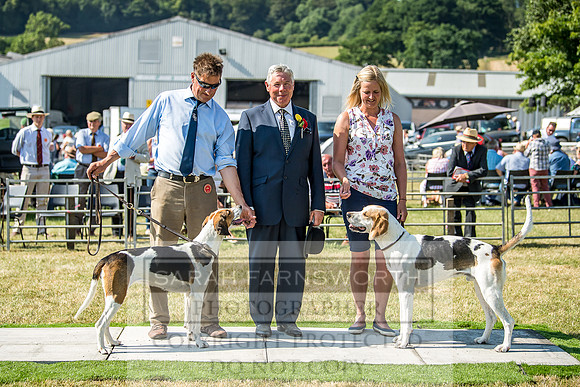Builth Hound Show 2018-147