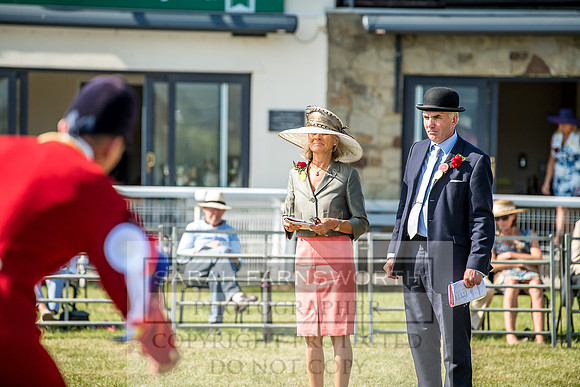Builth Hound Show 2018-163