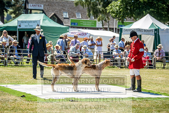 Builth Hound Show 2018-84