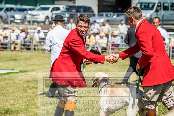 Builth Hound Show 2018-42
