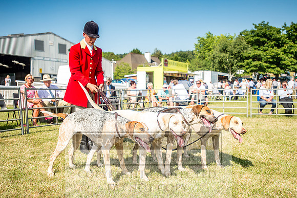 Builth Hound Show 2018-154