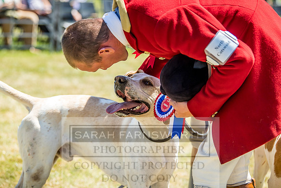 Builth Hound Show 2018-96