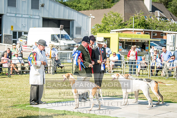 Builth Hound Show 2018-174