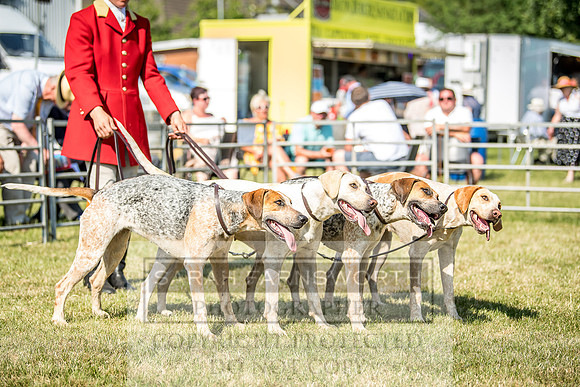 Builth Hound Show 2018-157