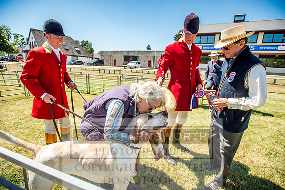 Builth Hound Show 2018-106