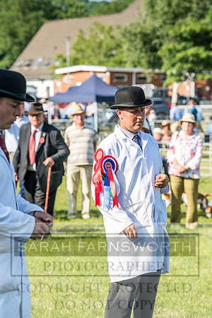 Builth Hound Show 2018-191