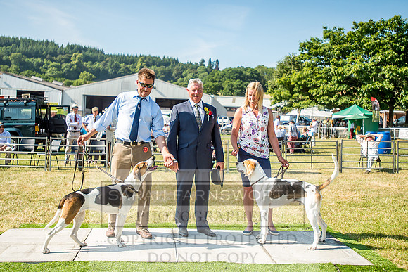 Builth Hound Show 2018-146