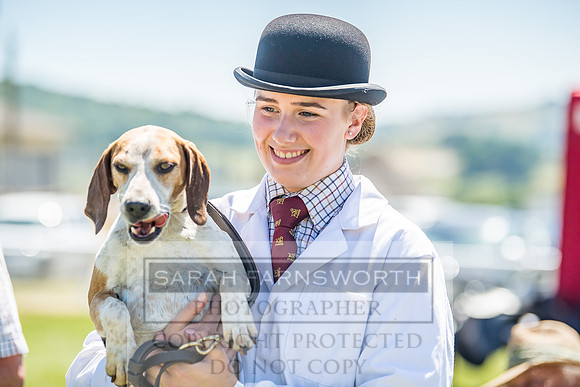 Builth Hound Show 2018-112