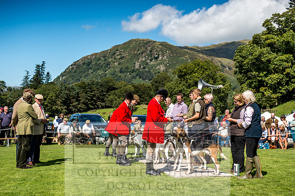 Rydal Hound Show 2017-34
