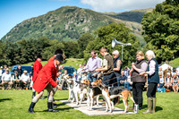Rydal Hound Show 2017-6