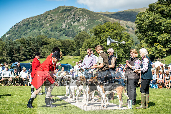 Rydal Hound Show 2017-6