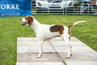 Rydal Hound Show 2017-11