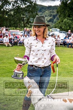 Rydal Hound Show 2017-60