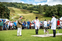 Rydal Hound Show 2017-18