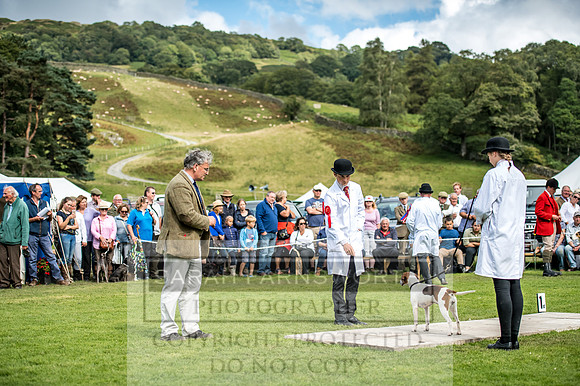 Rydal Hound Show 2017-18