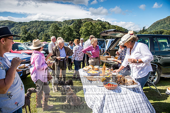 Rydal Hound Show 2017-47
